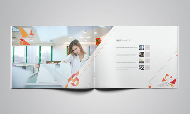 企業(yè)畫冊設(shè)計(jì)欣賞